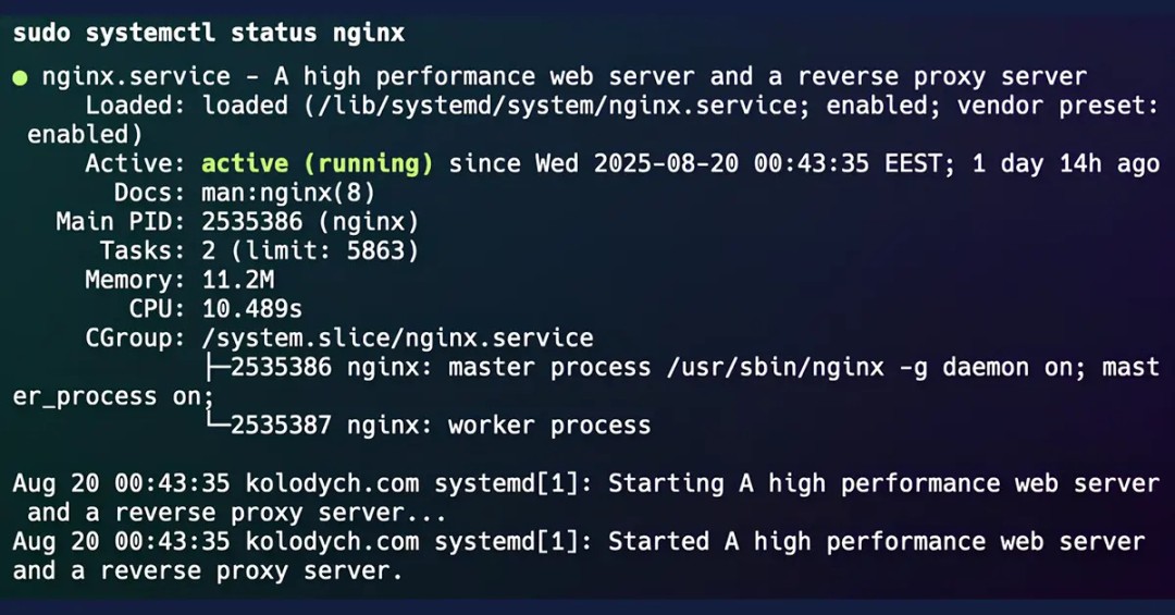 Nginx Setup in 6 Steps: From Installation to Production - Coder Legion