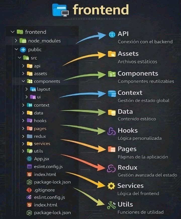 A Clean Frontend Folder Structure Every Developer Should Know - Coder ...